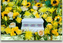 Cremation Information